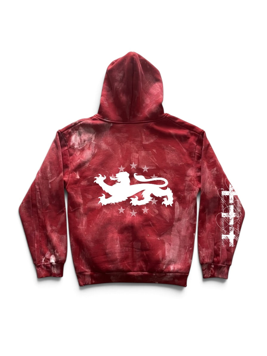 +zipp hoodie FW26